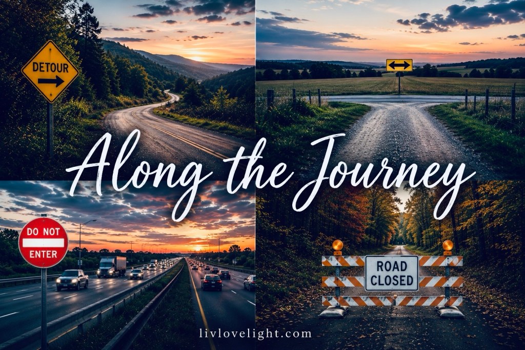 Along the Journey